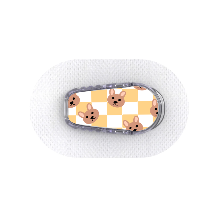 Capteur Dexcom G6 - Stickers Ours en peluche & Damier