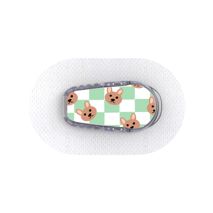 Capteur Dexcom G6 - Stickers Ours en peluche & Damier