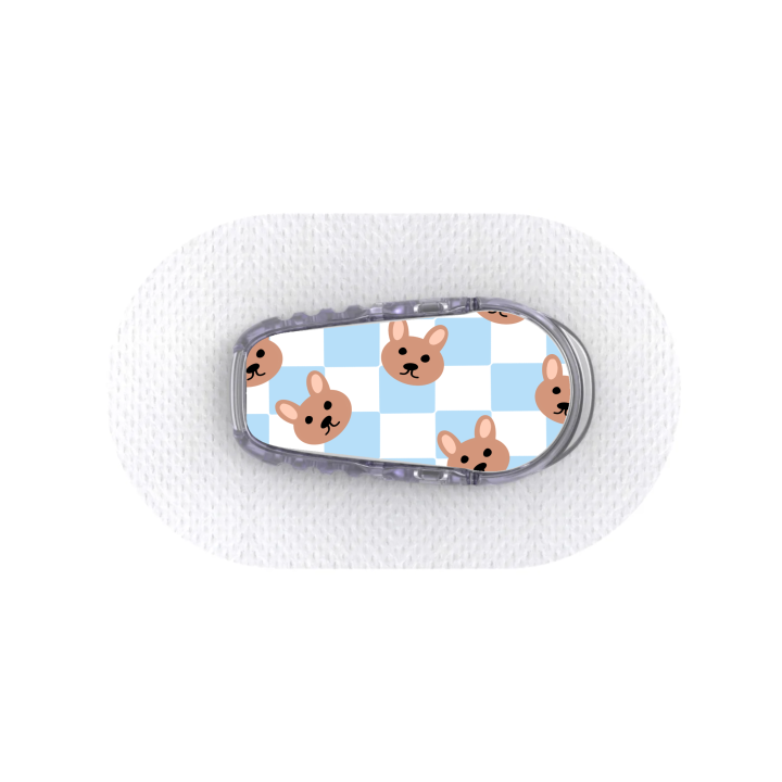 Capteur Dexcom G6 - Stickers Ours en peluche & Damier